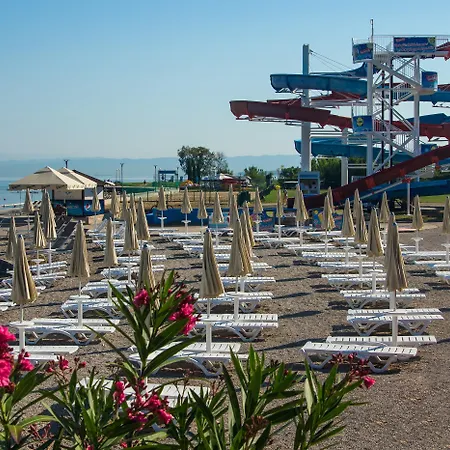 Mirta - San Simon Jagodje