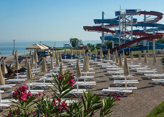 Mirta - San Simon Jagodje