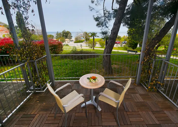 Mirta - San Simon Jagodje