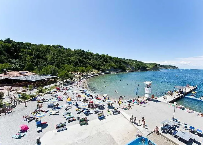 Mirta - San Simon Jagodje